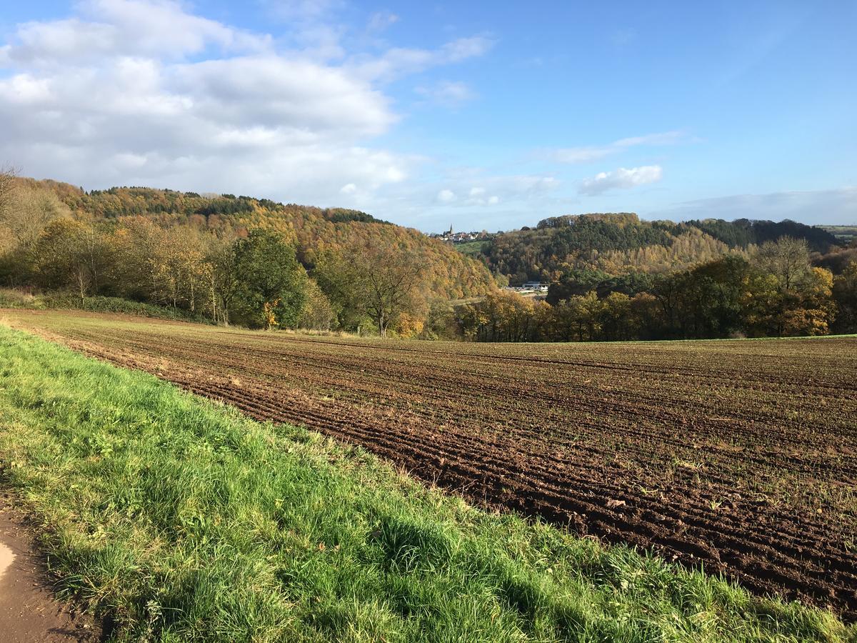Ferienhaus Stausee Bitburg Biersdorf Exterior foto